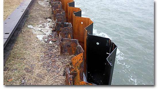 CDM Project